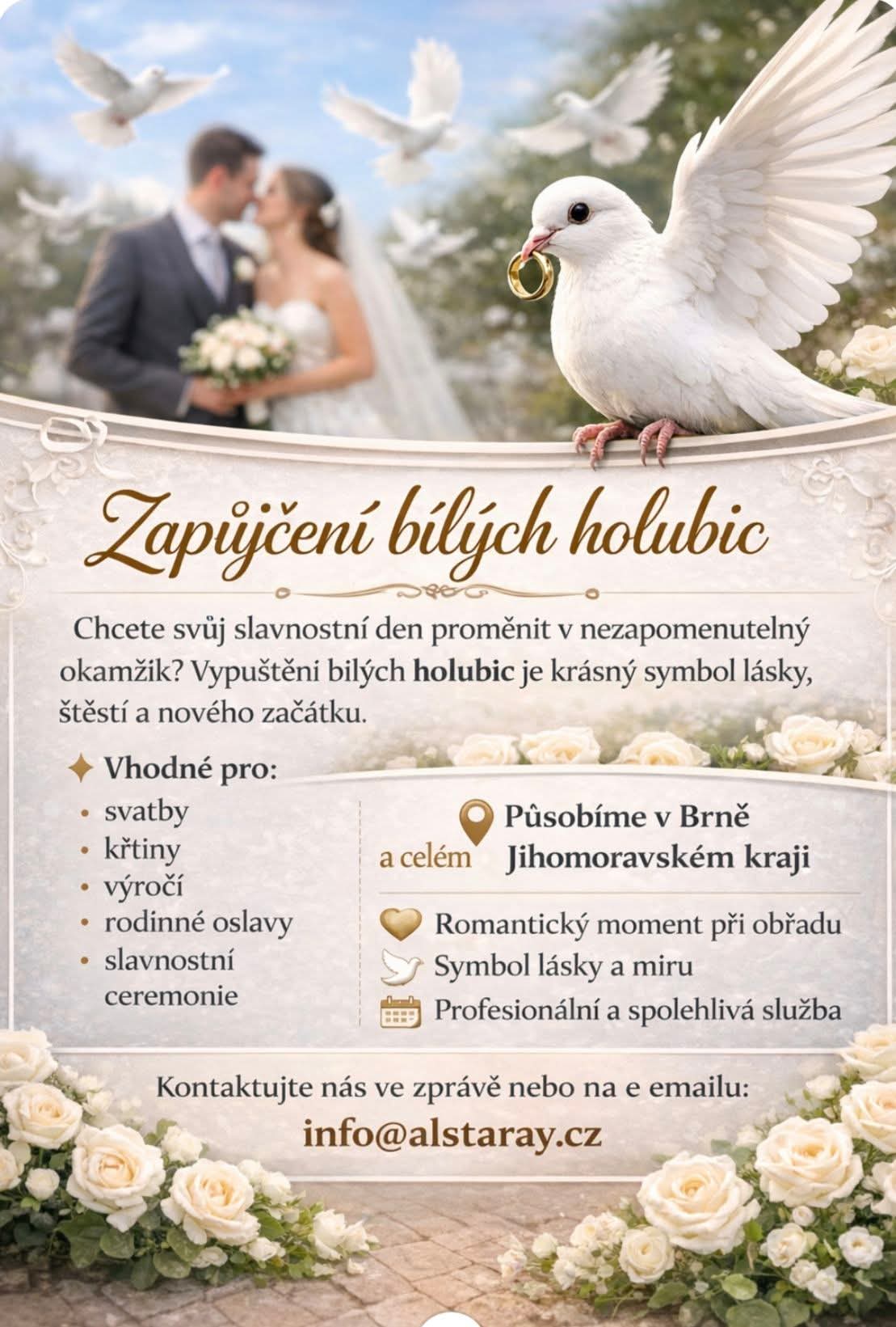 Holoubci zapůjčení na svatbu